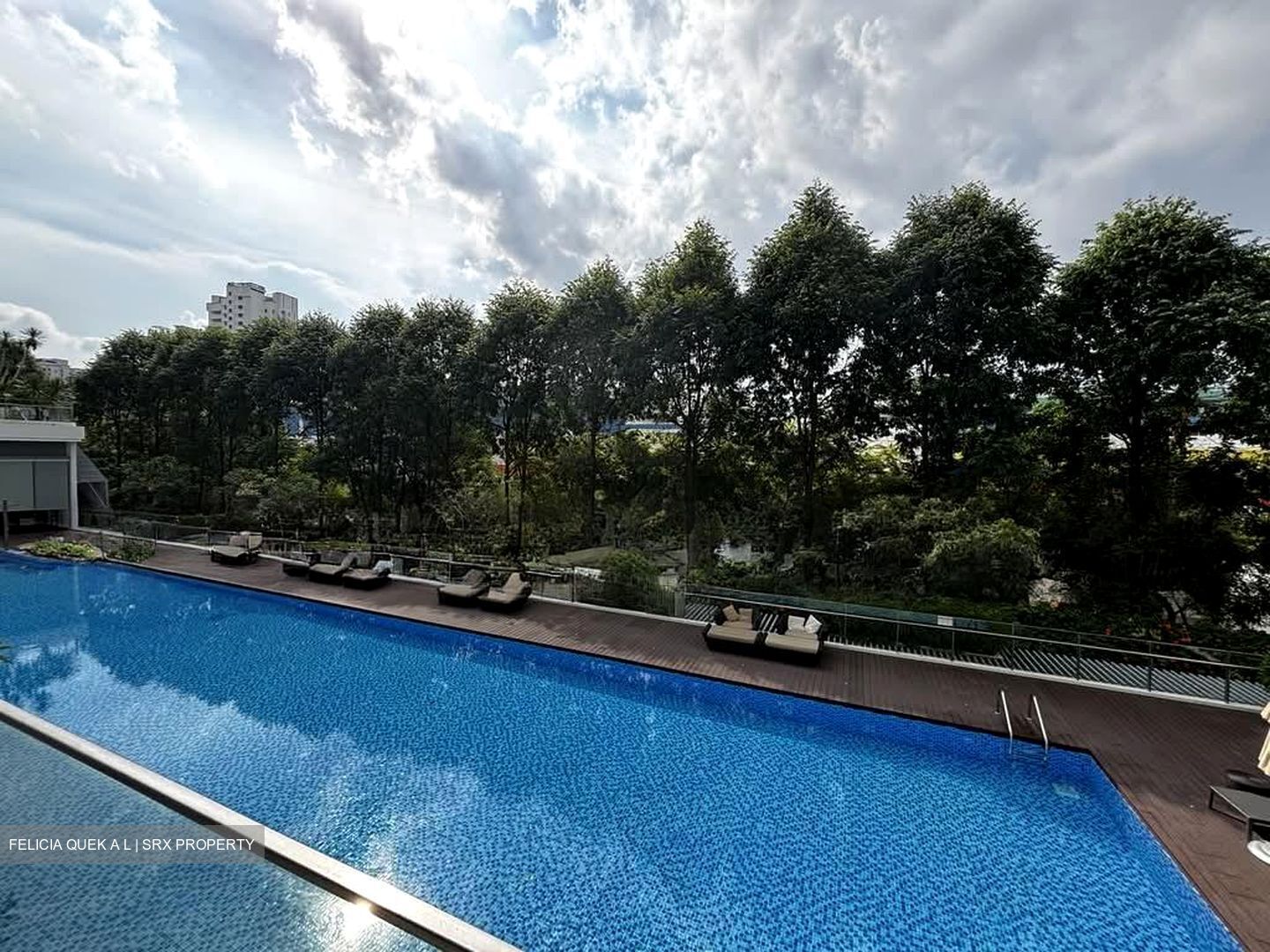 Dakota Residences (D14), Condominium #585624601